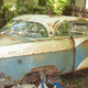 Illustration for article titled Former Car Dealers Collection Of Decaying Packards Head To Auction